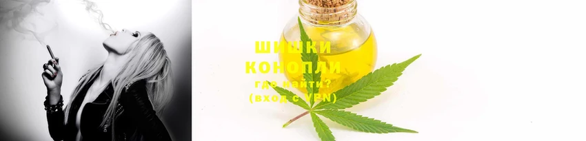 эйфоретик Осинники