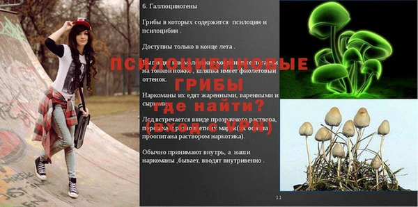 mix Пересвет
