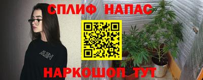 mdpv Обнинск