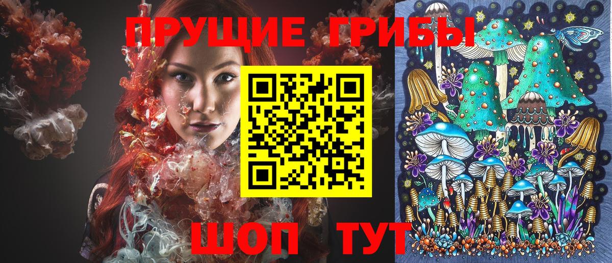 Галлюциногенные грибы мицелий Кингисепп