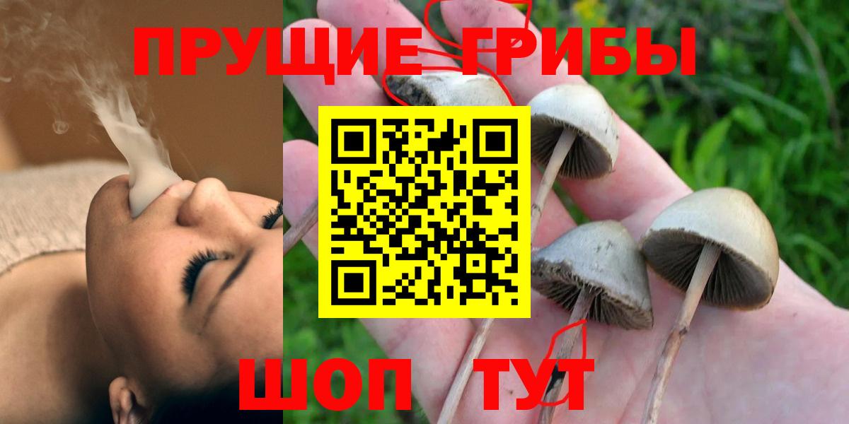 Псилоцибиновые грибы мицелий  Вход с VPN  Кингисепп 